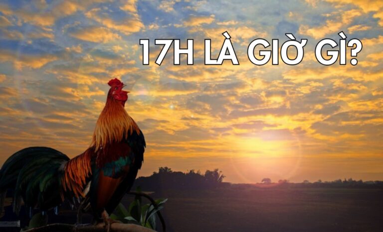 17h là giờ gì? Nên và không nên làm gì lúc 17 giờ chiều?