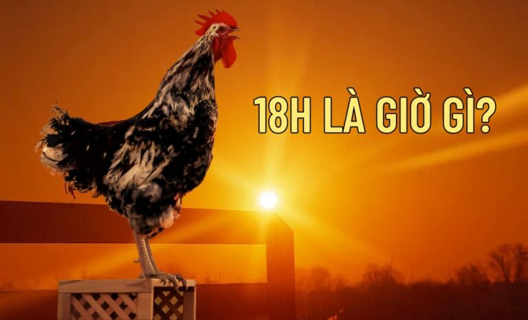 18h là giờ gì? Nên và không nên làm gì lúc 18 giờ chiều?