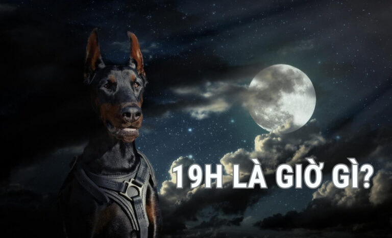19h là giờ gì? Nên và không nên làm gì lúc 19 giờ tối?