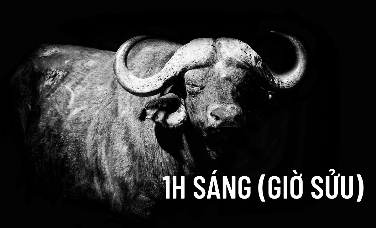 1h sáng là giờ gì? Nên và không nên làm gì lúc 1 giờ sáng? 1 1h sáng giờ Sửu