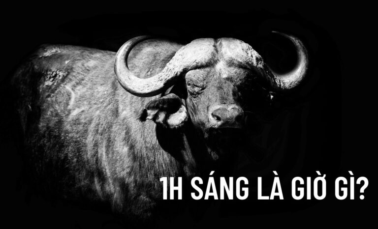 1h sáng là giờ gì? Nên và không nên làm gì lúc 1 giờ sáng?