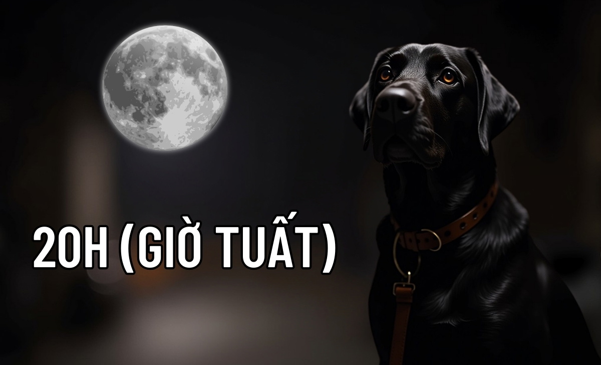 20h là giờ gì? Nên và không nên làm gì lúc 20 giờ tối? 1 20h giờ Tuất