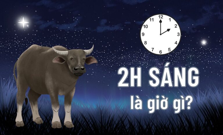 2h sáng là giờ gì? Nên và không nên làm gì? 