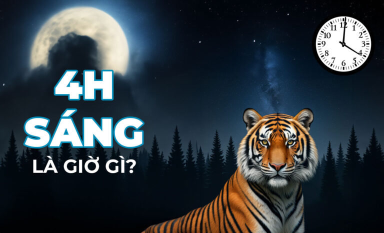 4h sáng là giờ gì? Nên và không nên làm gì vào khung 4h?