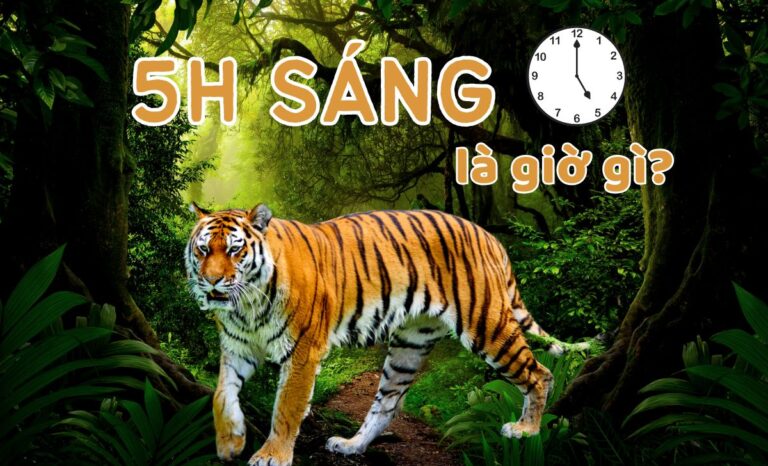 5h sáng là giờ gì? Nên và không nên làm gì lúc 5 giờ sáng?