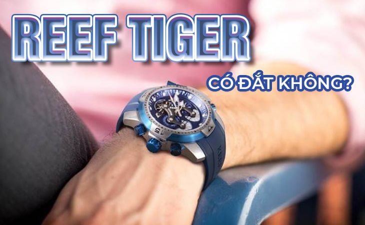 Đồng hồ Reef Tiger của nước nào? Đức hay Trung Quốc? - Ảnh 7