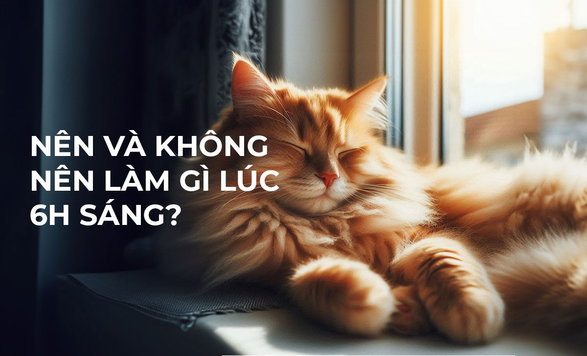 6h sáng là giờ gì? Nên và không nên làm gì lúc 6 giờ sáng? 2 6h sang la gio gi 1 1