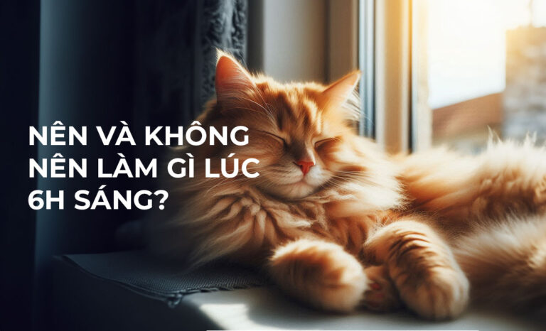 6h sáng là giờ gì? Nên và không nên làm gì lúc 6 giờ sáng?