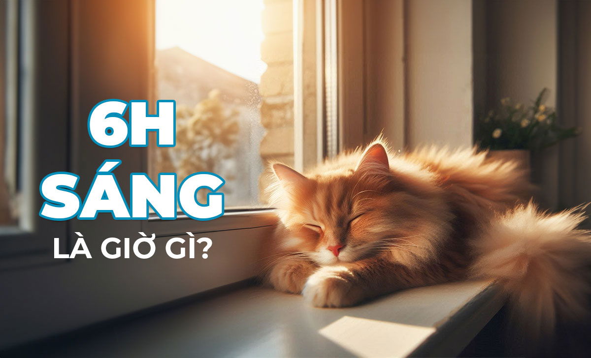 6h sáng là giờ gì? Nên và không nên làm gì lúc 6 giờ sáng? 1 6h sang la gio gi 2