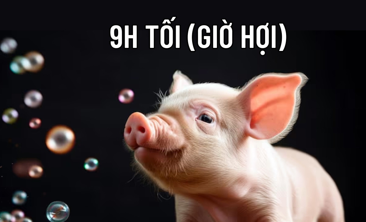 9h tối là giờ gì? Nên và không nên làm gì lúc 9 giờ tối? 1 9h tối giờ Hợi