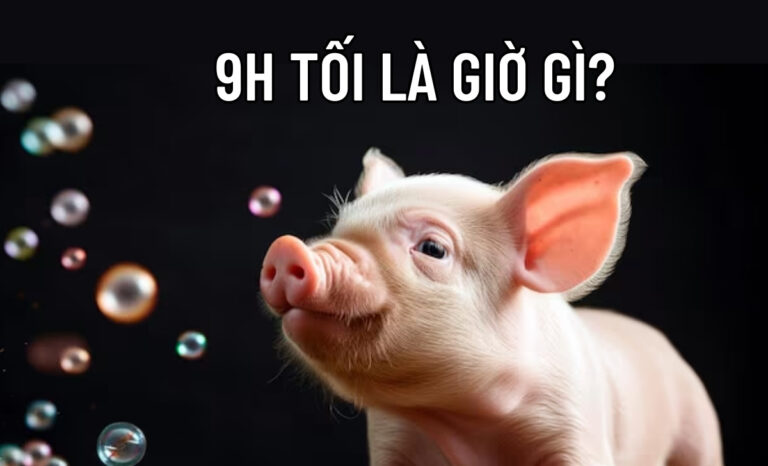 9h tối là giờ gì? Nên và không nên làm gì lúc 9 giờ tối?