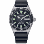 Citizen 41mm Nam NY0120-01E - Ảnh 1