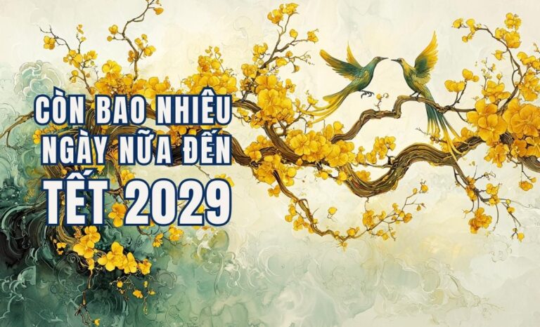 Còn bao nhiêu ngày nữa đến Tết Âm lịch Kỷ Dậu 2029