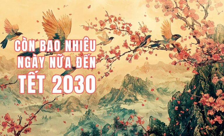 Đồng hồ đếm ngược còn bao nhiêu ngày nữa đến Tết Âm 2030