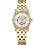 Bentley 30mm Nữ BL1815-101BKCI - Ảnh 1