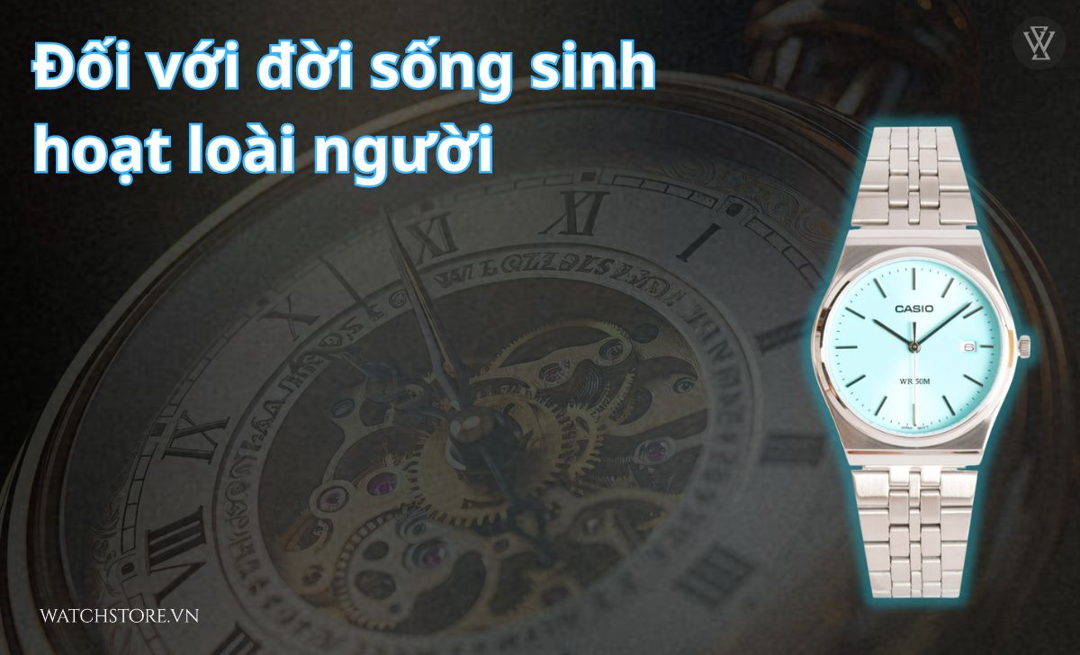 Canh giờ là gì? Ảnh hưởng đến lịch sử, văn hóa, đời sống 5 cac canh gio trong ngay 5