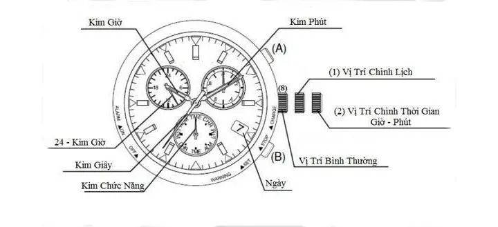 Cách chỉnh đồng hồ Citizen Eco Drive đầy đủ và dễ hiểu nhất - Ảnh 3