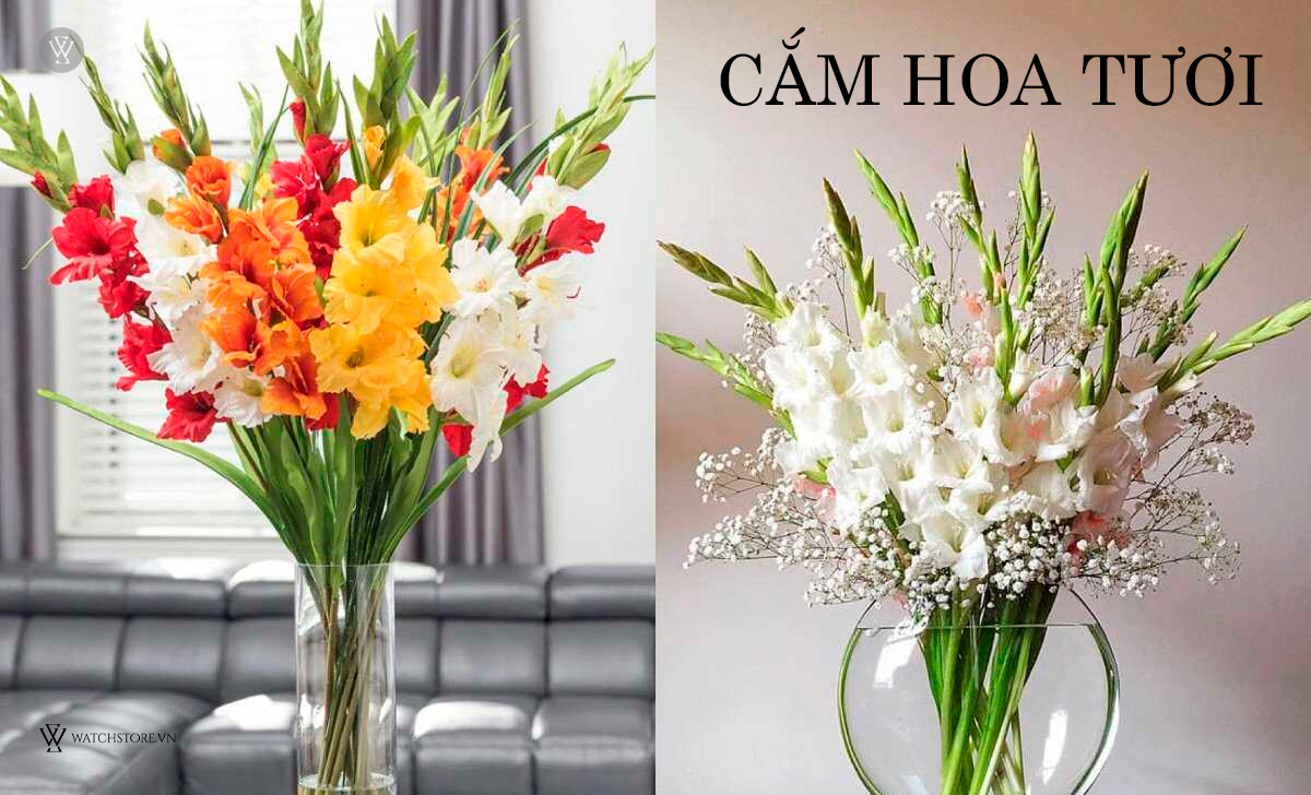 Vỡ đồng hồ đeo tay là điềm gì? 8 cách hóa giải tránh xui xẻo 7 Cắm hoa tươi