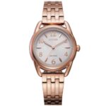 Citizen 30mm Nữ FE1213-50A - Ảnh 1