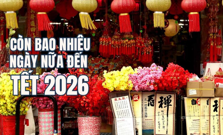 Còn bao nhiêu ngày nữa đến Tết Âm lịch Bính Ngọ 2026?