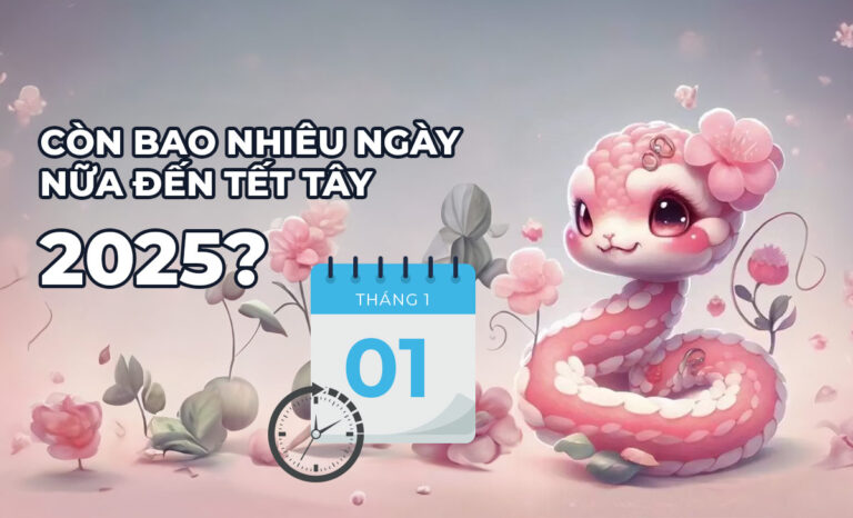 CHÍNH XÁC: Còn bao nhiêu ngày nữa đến Tết Tây (Tết Dương lịch) 2025
