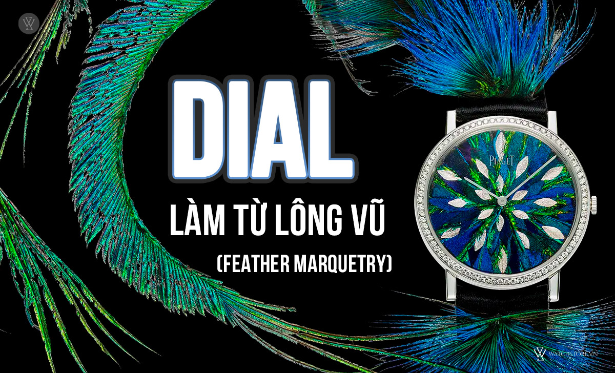 Dial lông vũ