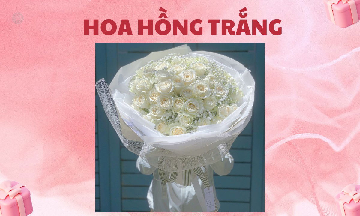 Một bó hoa tinh khiết, nhẹ nhàng, sang trọng 