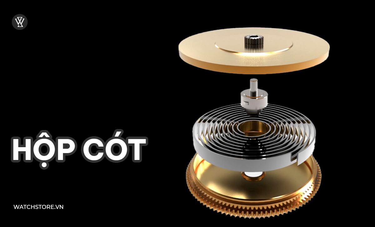 Cấu tạo đồng hồ cơ gồm những gì? 5 bộ phận cốt lõi nhất 9 Hộp cót