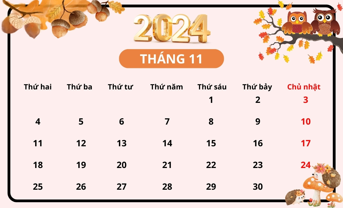 lịch tháng 11 2024