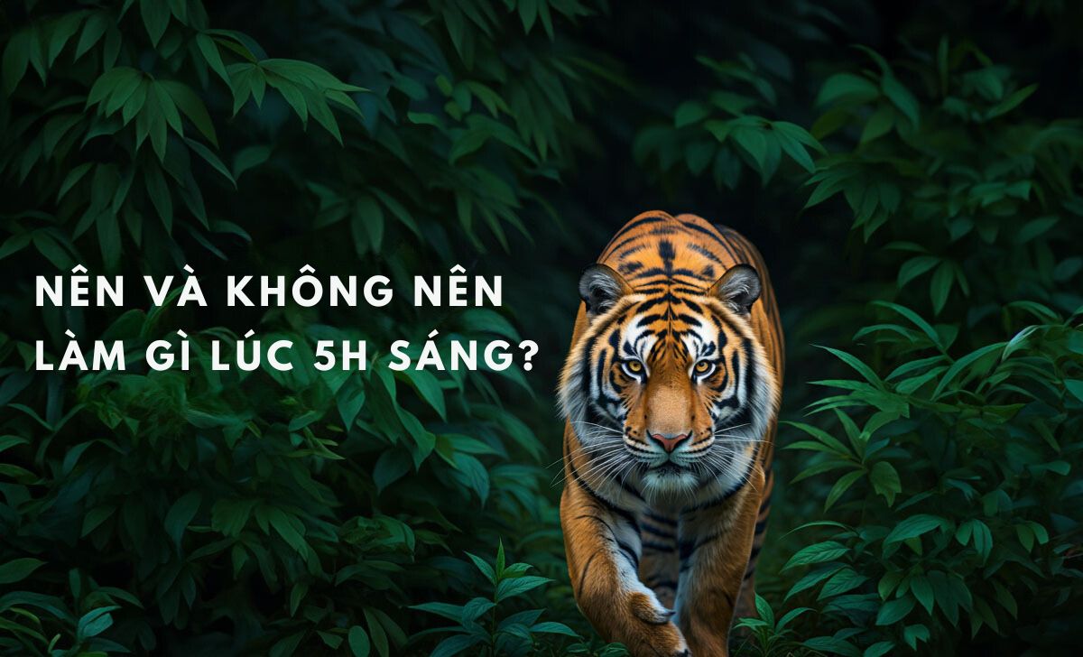 nên không nên làm gì 5h sáng