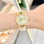 Olym Pianus 36.5mm Nam OP89322DK-V-HT - Ảnh 11