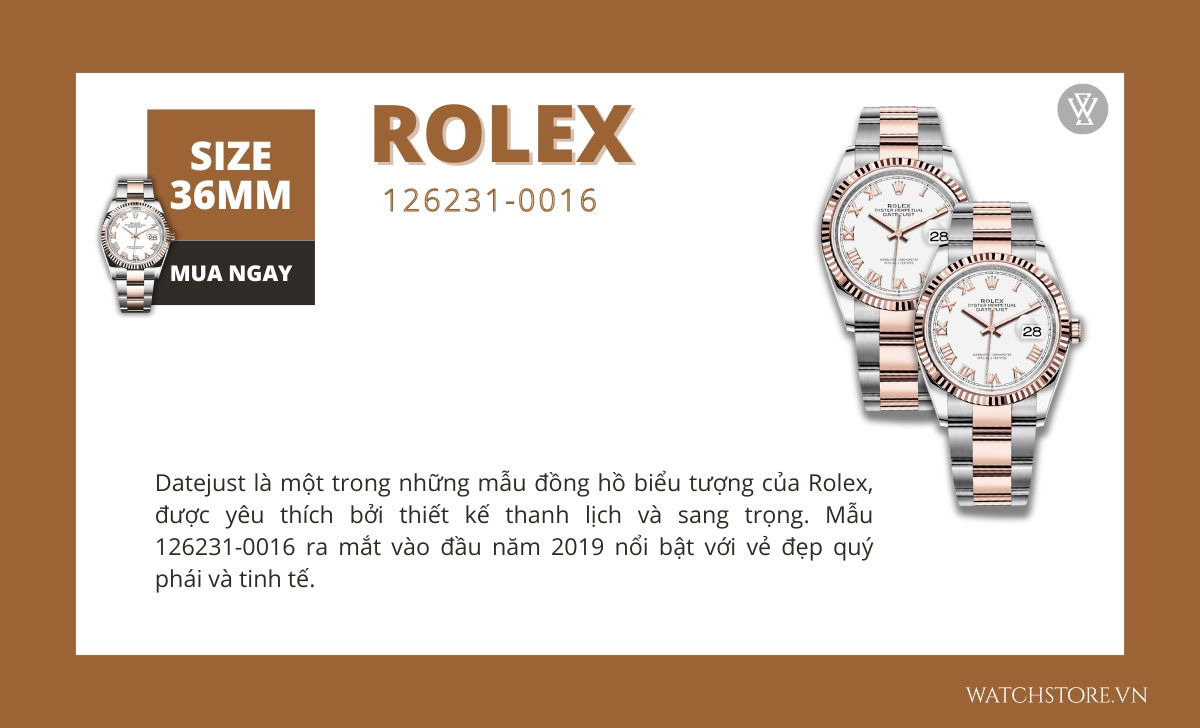 rolex 126231 0016