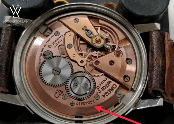 Hướng dẫn cách tra số seri đồng hồ Omega đơn giản nhất - Ảnh 2