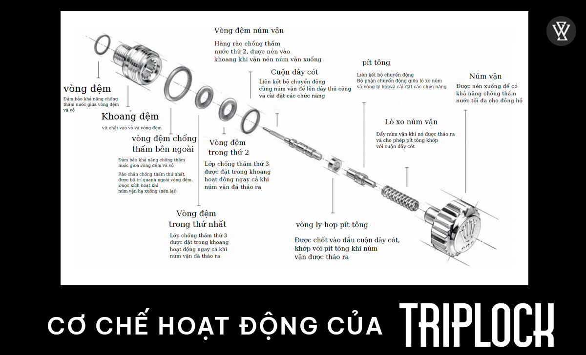 so sanh twinlock vs triplock 3