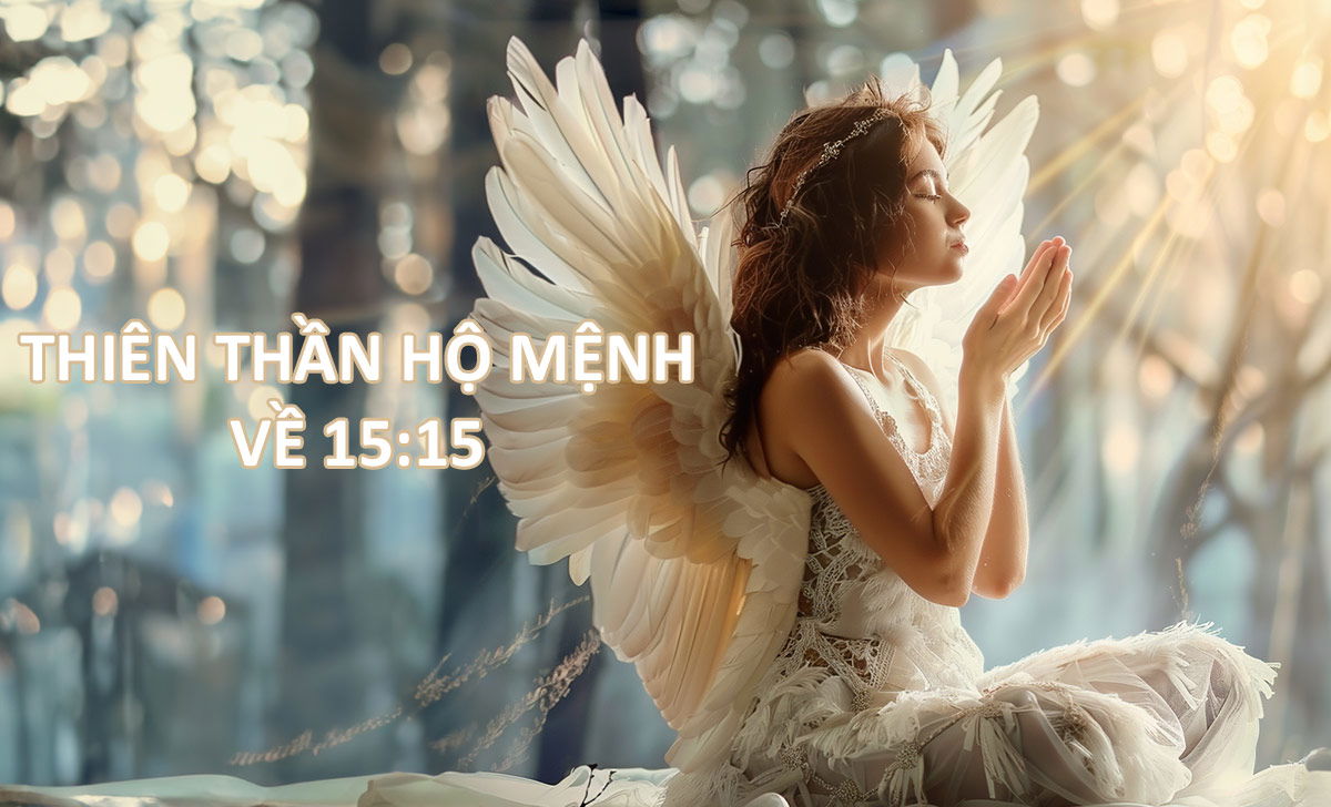 Thiên thần hộ mệnh 15:15