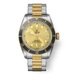 Tudor 41mm Nam 79733N-0004 - Ảnh 1