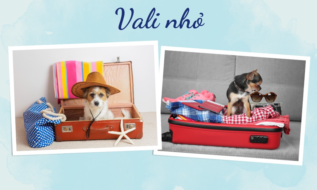 TOP 30+ Quà Tặng Chia Tay Đồng Nghiệp Ý Nghĩa Giúp Lưu Giữ Kỷ Niệm Đẹp 8 Balo, vali mini – món quà cho những hành trình mới