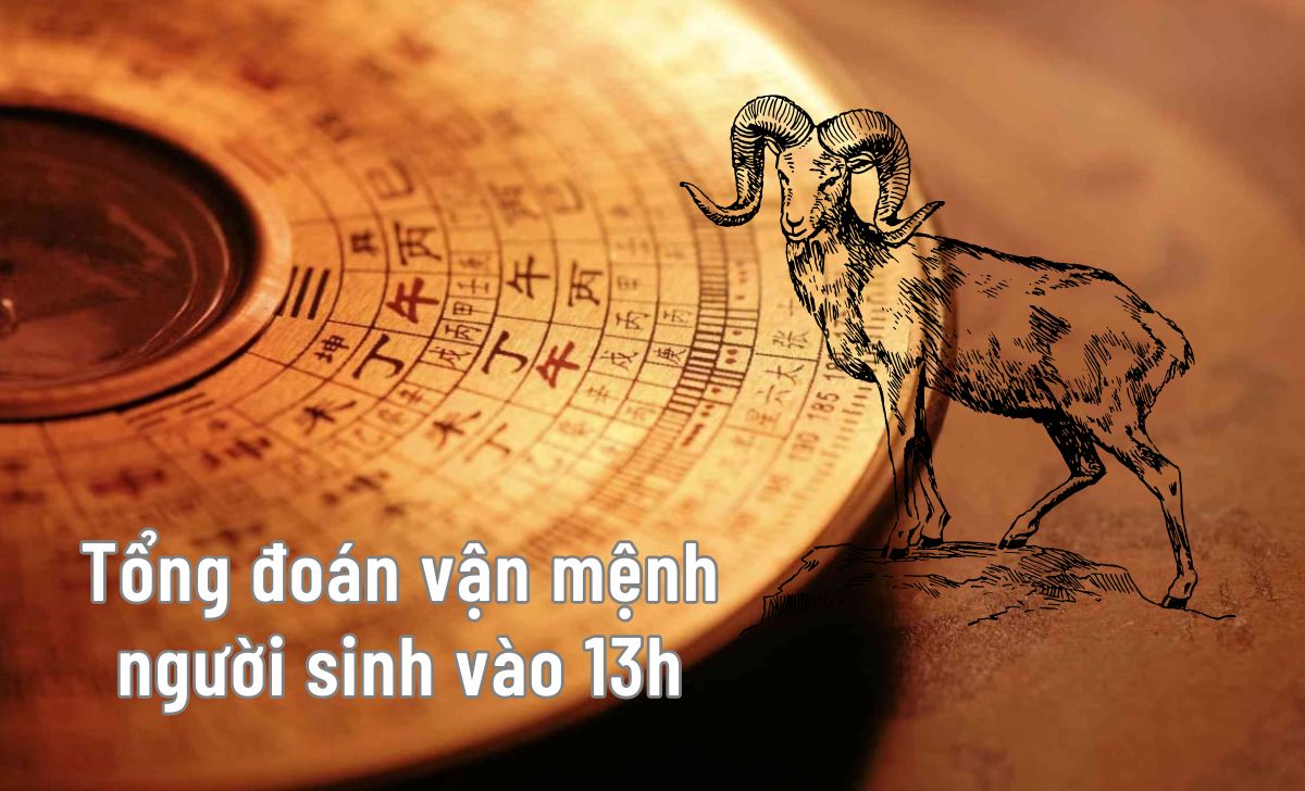 vận mệnh người sinh 13h