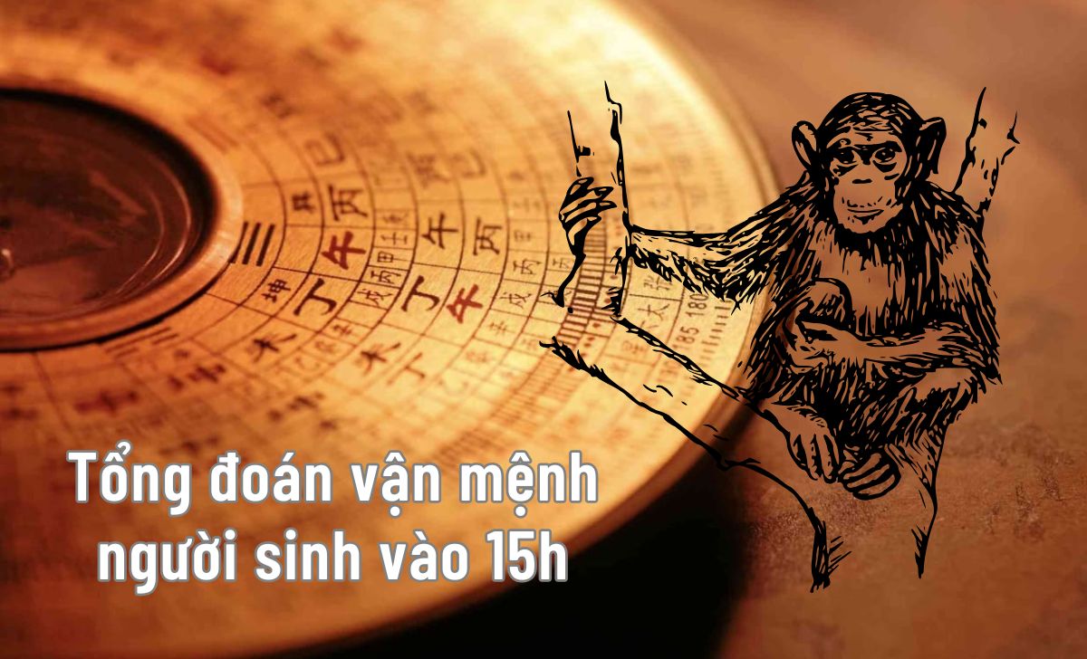 vận mệnh người sinh 15h
