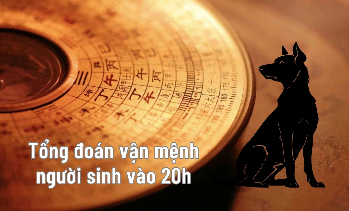 20h là giờ gì? Nên và không nên làm gì lúc 20 giờ tối? 2 vận mệnh người sinh 20h