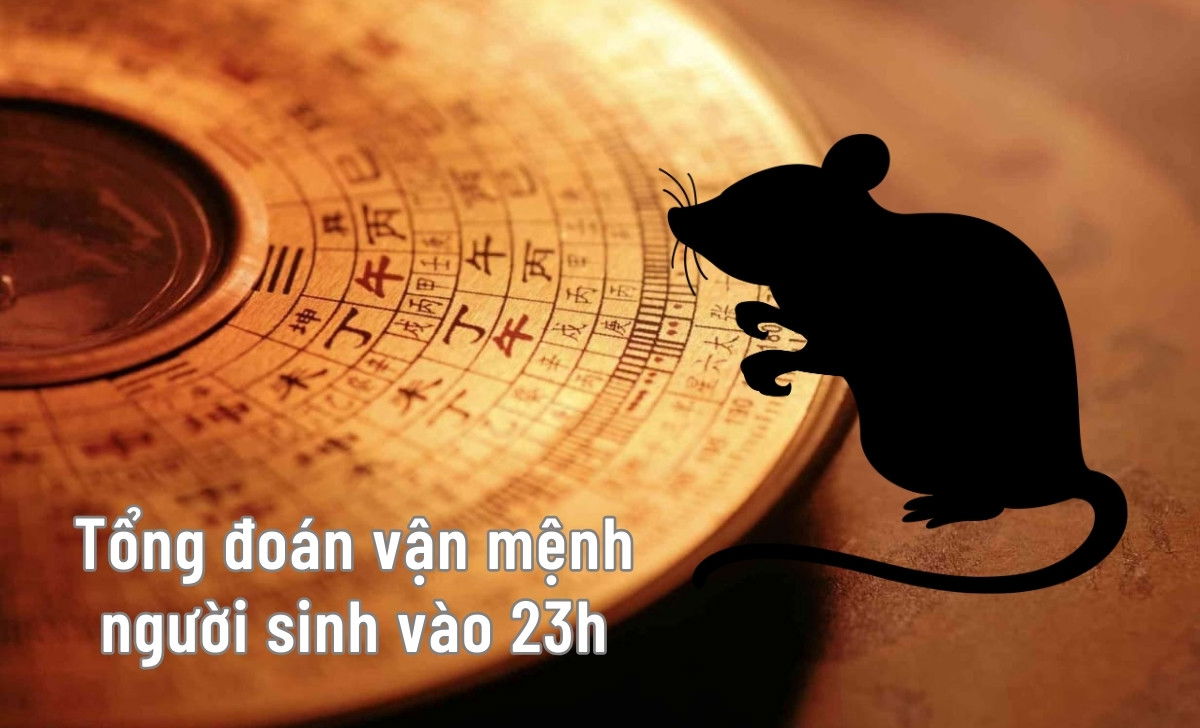 vận mệnh người sinh 23h