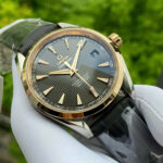 Omega 41.5mm Nam 231.23.42.21.06.003 - Ảnh 4