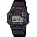Casio 43mm Nam W-220H-1A2VDF - Ảnh 1