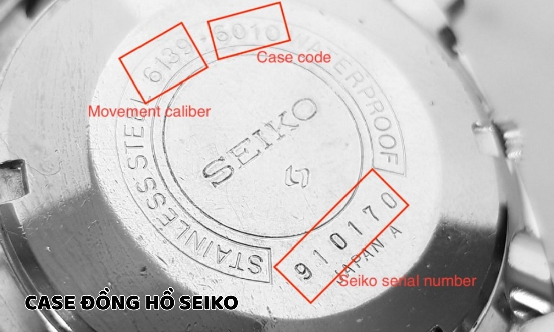 Case đồng hồ là gì? Toàn tập về vỏ “cỗ máy thời gian” và bí quyết chọn 2 Mã số định danh của Seiko