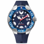 Citizen 46mm Nam BN0231-01L - Ảnh 1