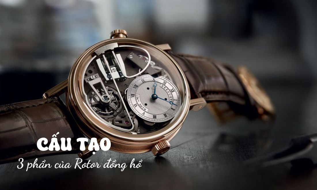 Rotor đồng hồ là gì? Toàn tập về "trái tim" của đồng hồ tự động 2 Cấu tạo đặc biệt của thiết bị