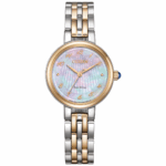 Citizen 27.7mm Nữ EM0996-84Y - Ảnh 1