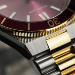 Citizen Nam NJ0234-58X - Ảnh 11