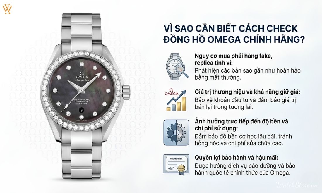 Cách check đồng hồ Omega chính hãng nhanh, chuẩn xác 100% - ảnh 5