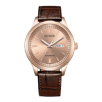 Citizen Nam NY4062-04X - Ảnh 2
